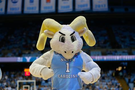 tar heel times|tar heel times official site.